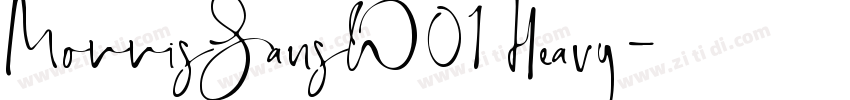 MorrisSansW01 Heavy字体转换